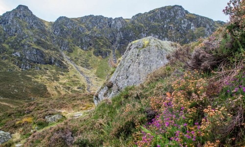 Corrie Fee v2