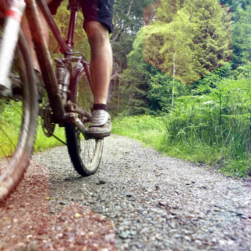 Closeup lowsection of a cyclist on countryside track