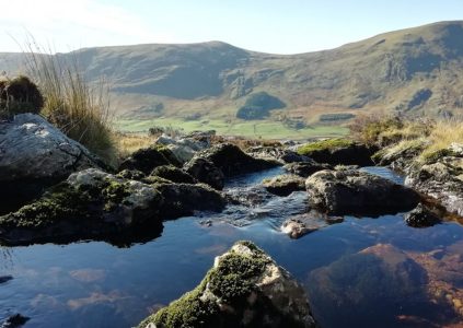 The burn below the Hydro in Glen Clova