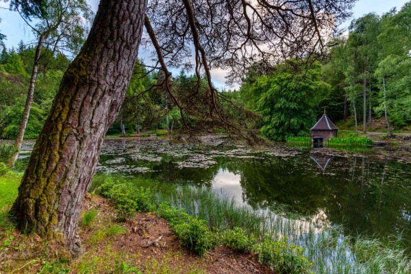 A large pond in Faskally Forest