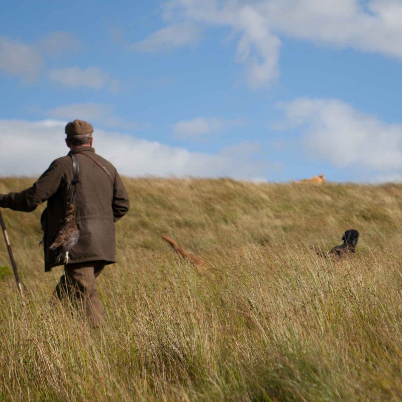 Man and dog out shooting in the Scottish countryside