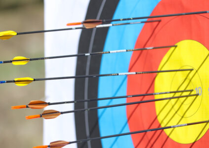 Arrows are piercing an archery target