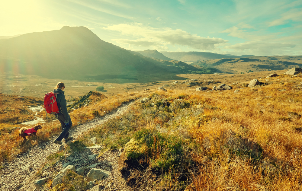 A hiker and their dog exploring the Scottish Countryside. This image has added grain and styling.