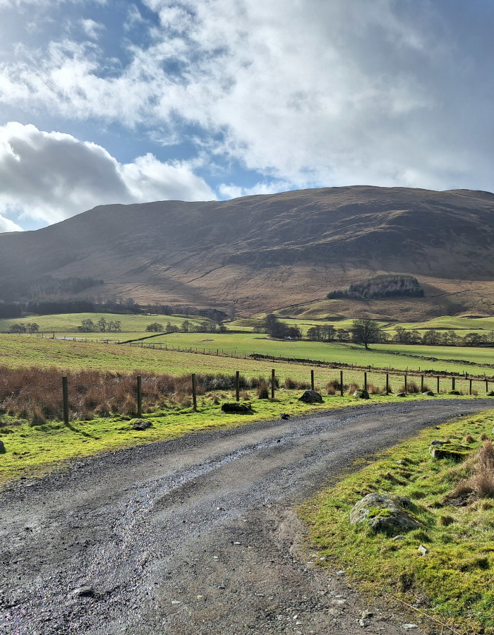 Road through Glen Clova in Scotland