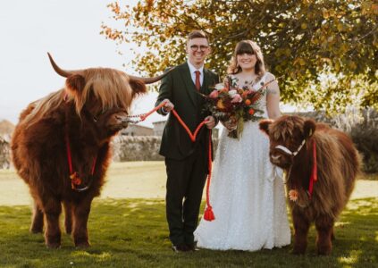 Wedding couple with Highland cows